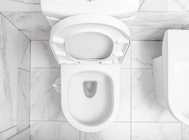 people are just discovering why toilets are always white 8561