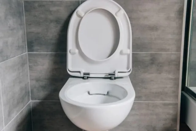 people are just discovering why toilets are always white 8560