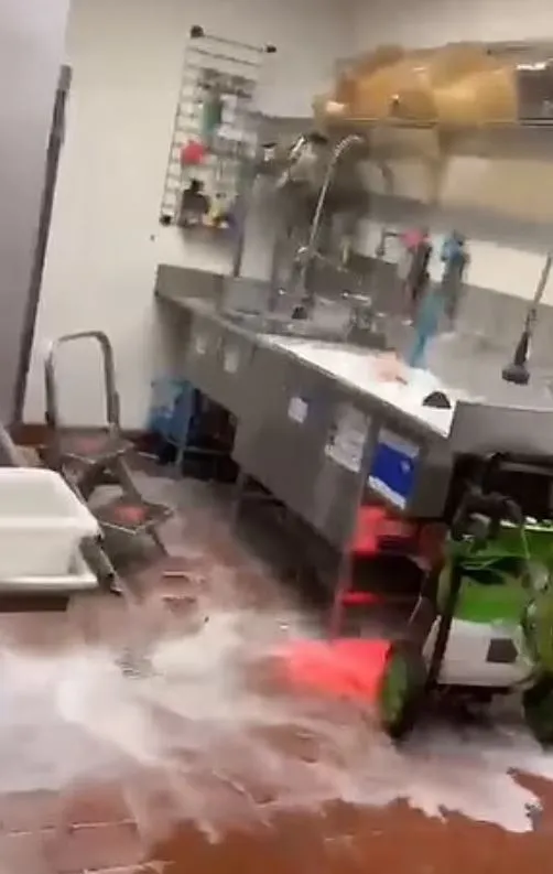 taco bell employee cannonballs into sink on last day 8542