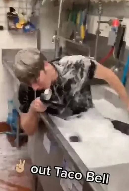 taco bell employee cannonballs into sink on last day 8540