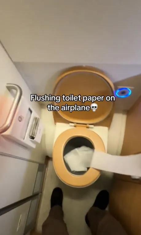 flight attendant reveals why you should never use toilet paper on an airpla 8615