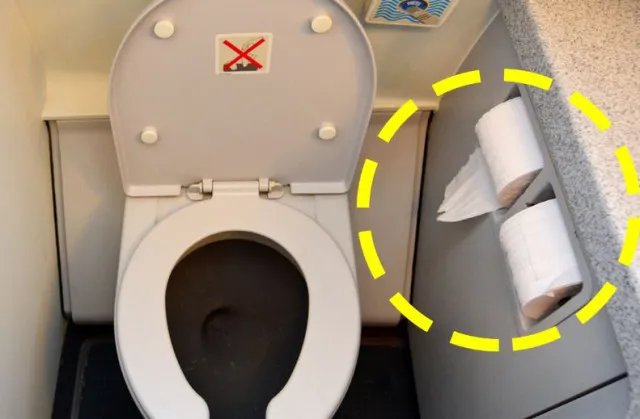 flight attendant reveals why you should never use toilet paper on an airpla 8619