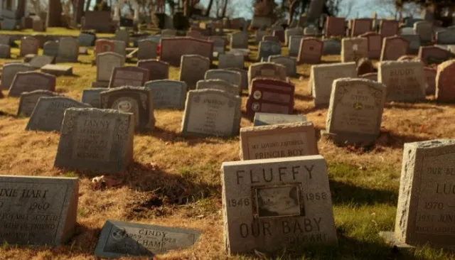 people are just realizing the difference between graveyard and cemetery 8651