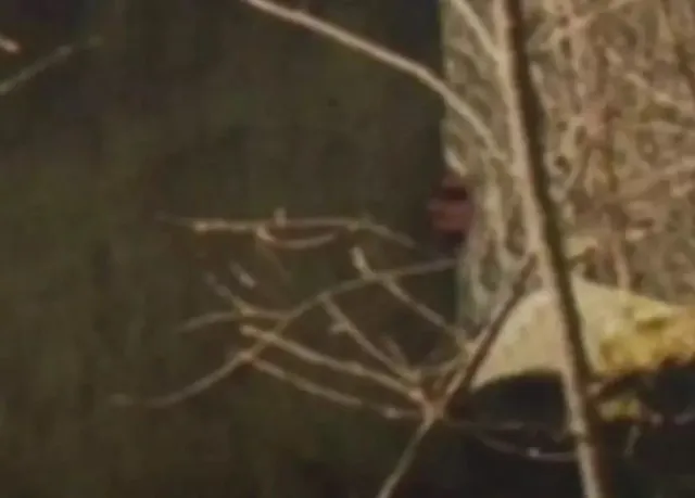 couple left stunned by disturbing detail in mountain photos 8912