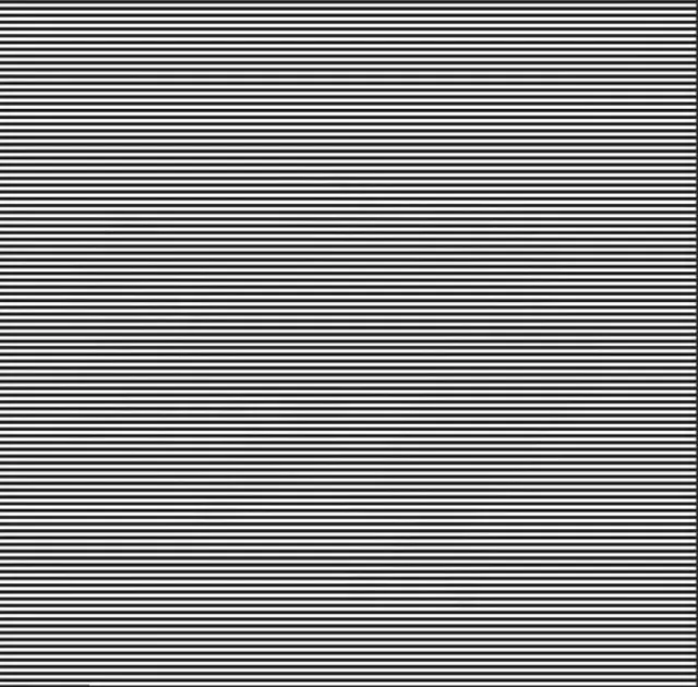 can you spot the hidden creature in 11 seconds? 9268