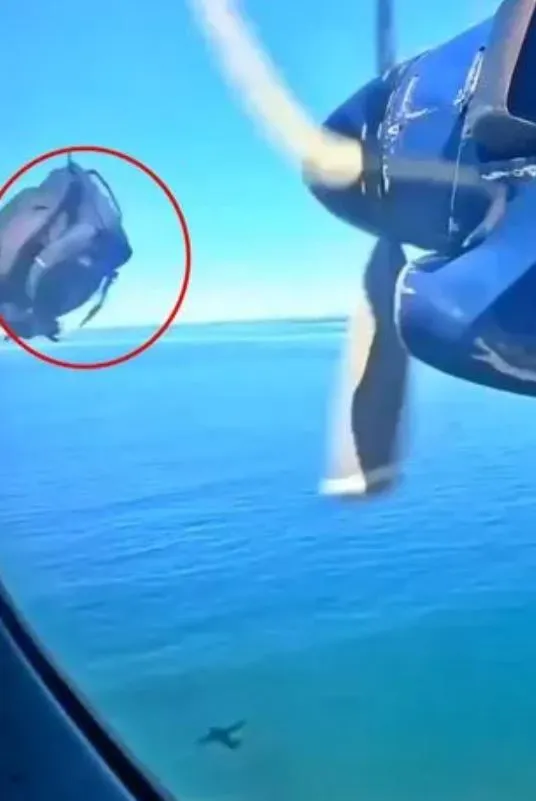 passenger stunned after loose luggage hits plane propeller in mid-air 9240
