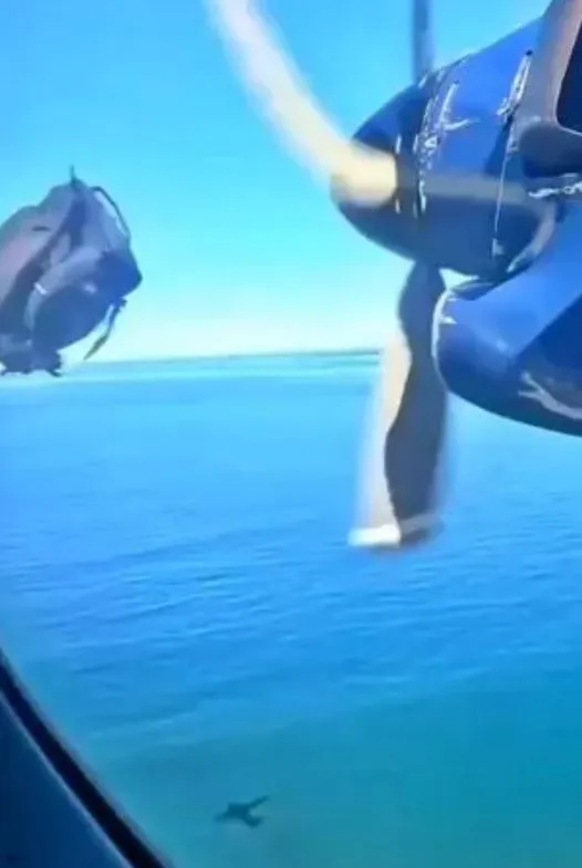 passenger stunned after loose luggage hits plane propeller in mid-air 9239