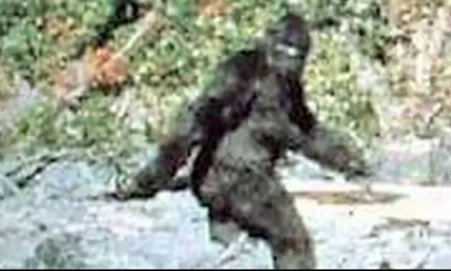 bigfoot screams and whoops in connecticut sasquatch hotspot 9500