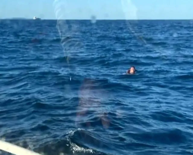 sailor survives miracle after swimming 19 hours from cargo ship with three 9518