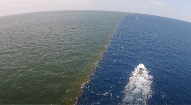 truth behind the point where the mississippi river meets the gulf of mexico 9705