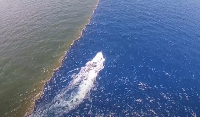 truth behind the point where the mississippi river meets the gulf of mexico 9703