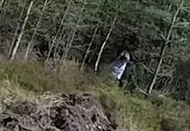 footage captures black-eyed girl running through cannock chase forest 9835