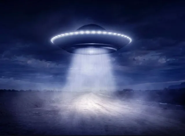 ufo expert thinks seagulls could be alien spies 9913