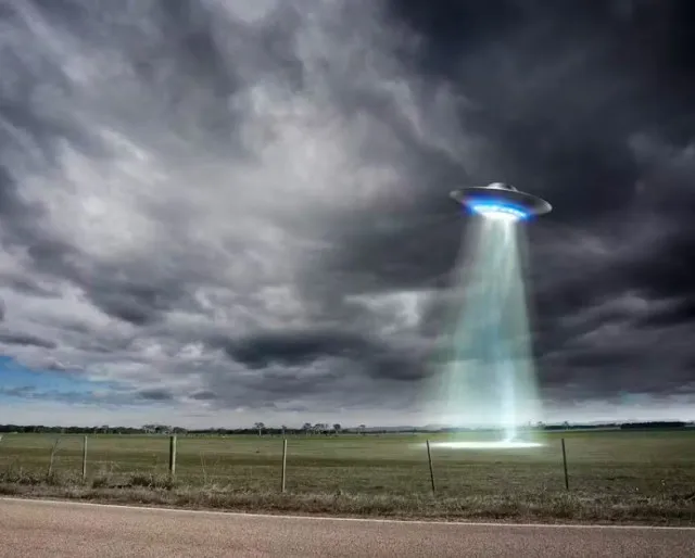 ufo expert thinks seagulls could be alien spies 9914