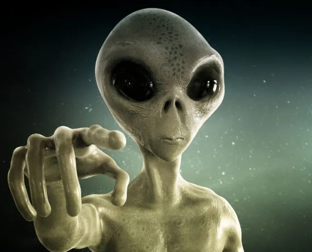 ufo expert thinks seagulls could be alien spies 9912