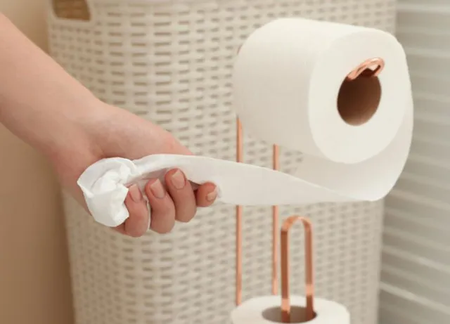 correct way to hang toilet paper finally revealed 9970