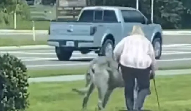 internet stunned by woman walking mysterious mutant beast 9983