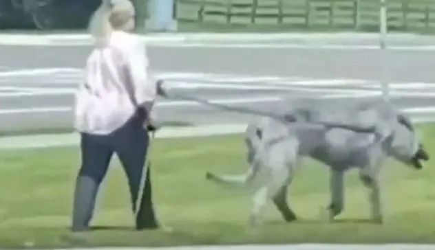internet stunned by woman walking mysterious mutant beast 9984