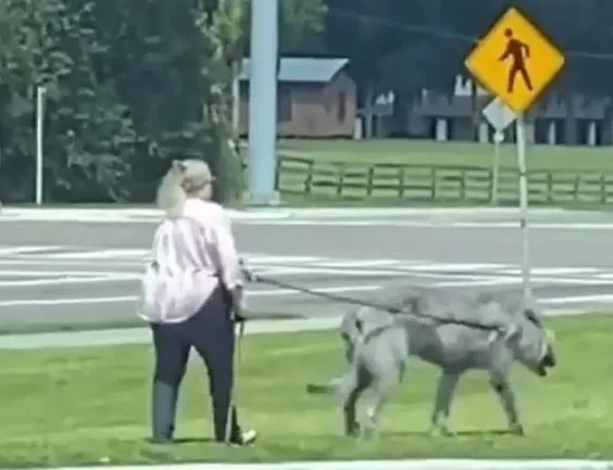 internet stunned by woman walking mysterious mutant beast 9986