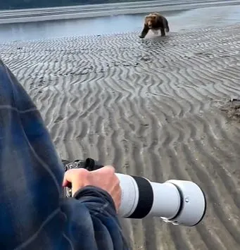  wildlife photographer stuns viewers by showing how to scare off a charging 9950