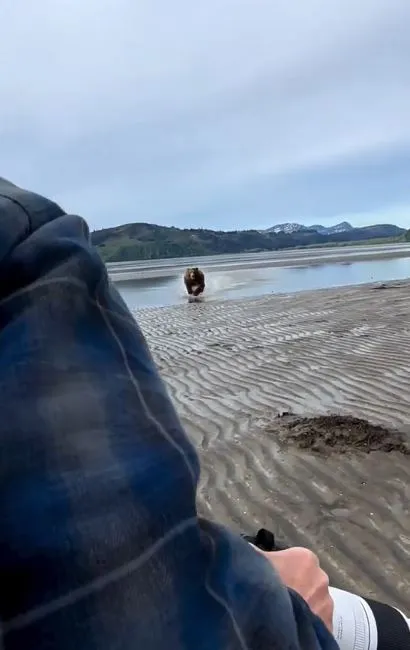  wildlife photographer stuns viewers by showing how to scare off a charging 9948