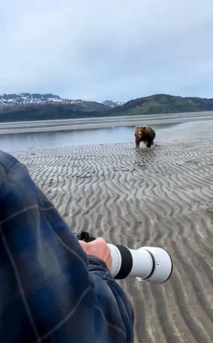  wildlife photographer stuns viewers by showing how to scare off a charging 9949