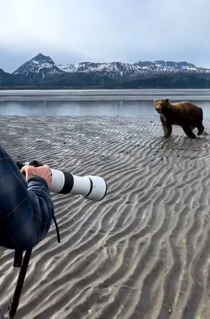  wildlife photographer stuns viewers by showing how to scare off a charging 9947
