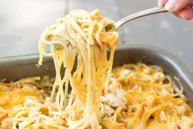 people stunned after discovering what spaghetti chicken really is 10215