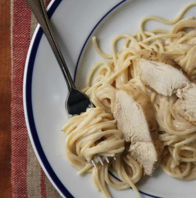 people stunned after discovering what spaghetti chicken really is 10216