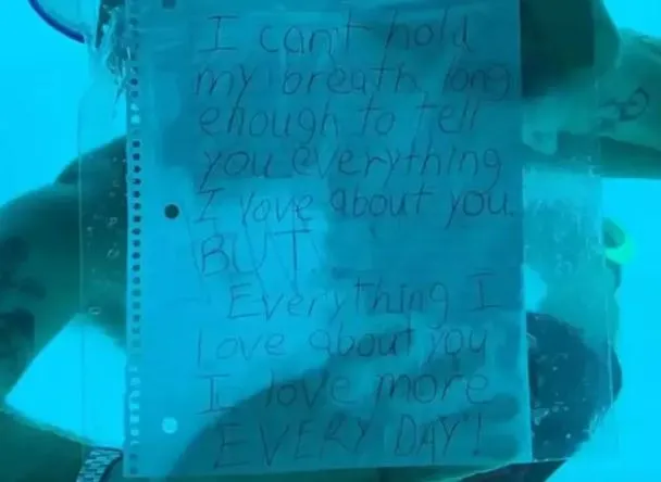 girlfriends emotional contribue to fiance who drowned after underwater pro 10273