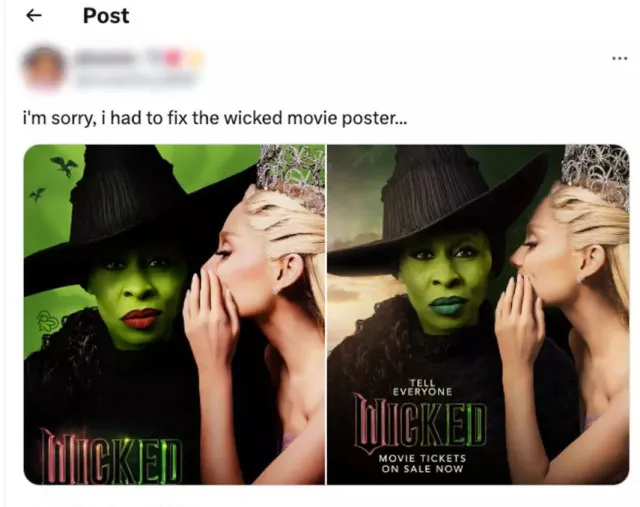 cynthia erivo breaks slience after backlash over calling wicked fan poster 10334