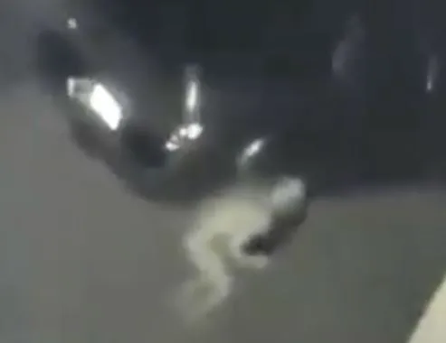 footage captures mysterious pale creature causes sleepless nights 10490