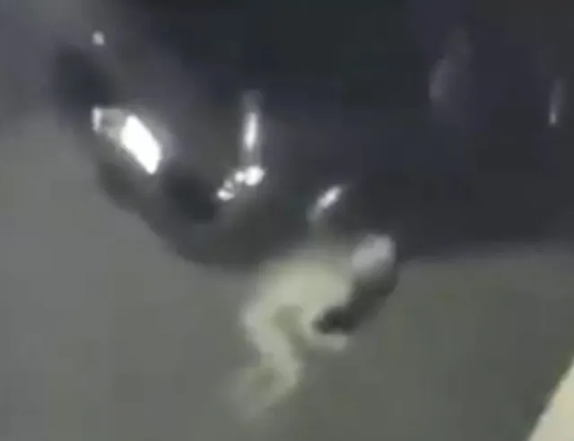 footage captures mysterious pale creature causes sleepless nights 10495