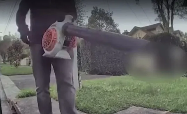 tesla driver stunned after returning to her car and finding it vandalized 10429