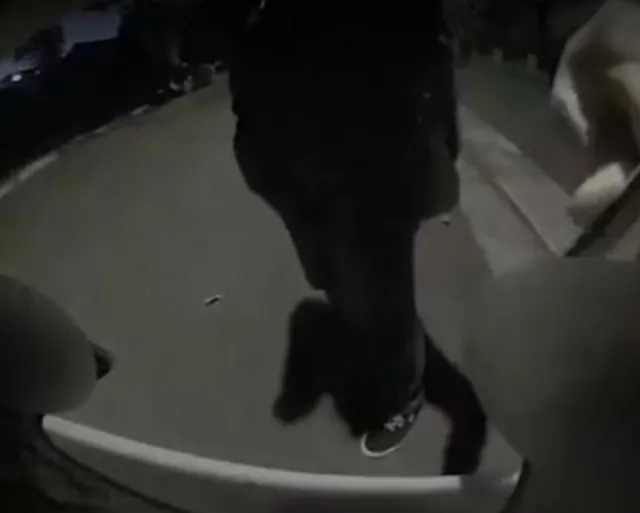 tesla driver stunned after returning to her car and finding it vandalized 10427