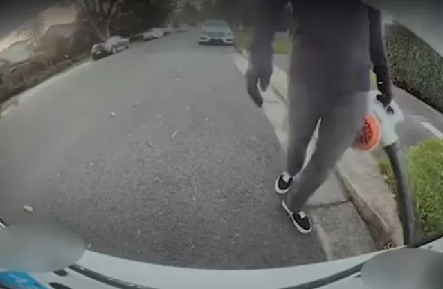 tesla driver stunned after returning to her car and finding it vandalized 10430