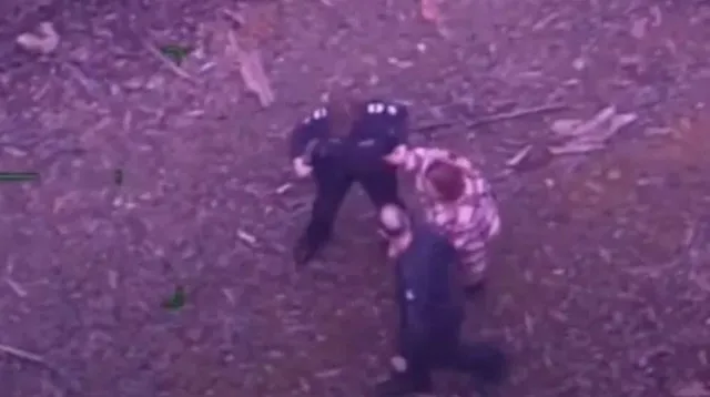 missing woman survives five days in wilderness on wine and lollipops 10525