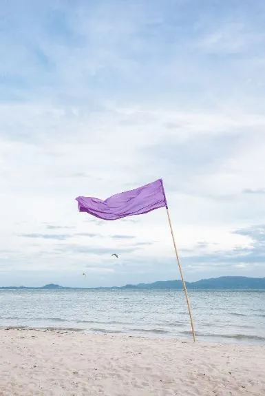 people are just realizing what a purple flag at the beach means 10544