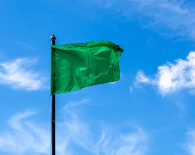 people are just realizing what a purple flag at the beach means 10547