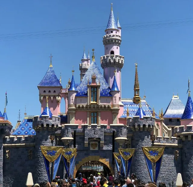 a woman who chose to visit disneyland without her children admitted she fac 10631