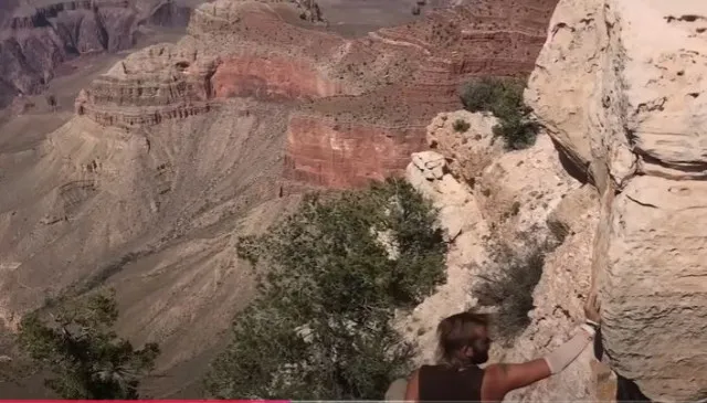 man falls 100ft grand canyon while seeking better view 10846