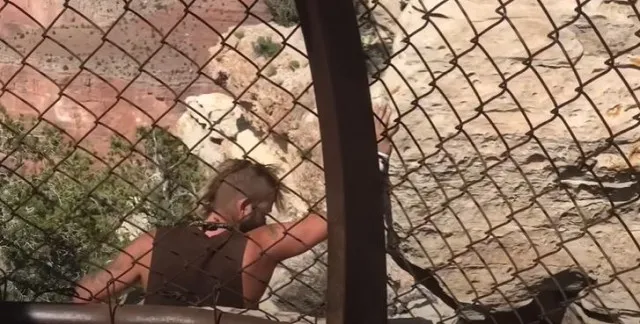 man falls 100ft grand canyon while seeking better view 10847