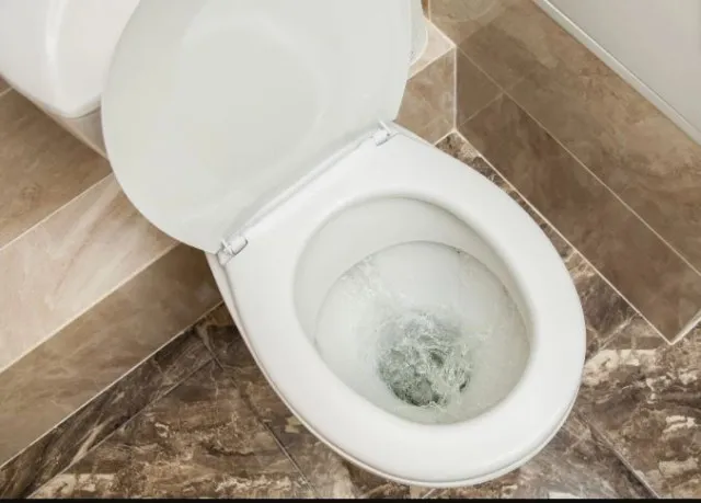 couple stunned after six months of drinking toilet water without realizing 11032