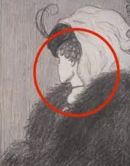 optical illusion reveals if you are level-headed or volatile based on what 11052