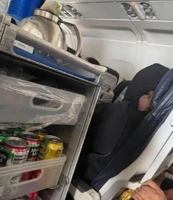 viewers baffled as a viral plane photo sparkeds alien speculation 10983