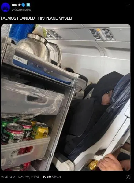 viewers baffled as a viral plane photo sparkeds alien speculation 10984