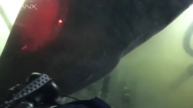 crazy footage captures submarine encounter with deep-sea monster older th 11068
