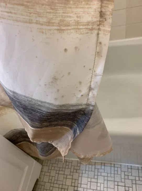 how to clean your showers curtaiin with ease 11220