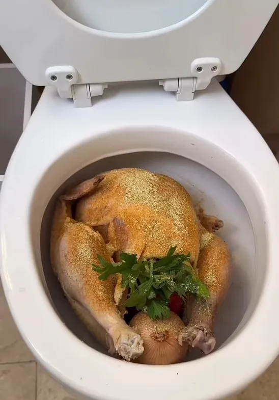 woman under fire after seasoning a raw turkey in toilet bowl for thanksgivi 11205