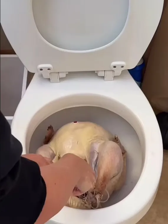 woman under fire after seasoning a raw turkey in toilet bowl for thanksgivi 11206